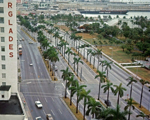 Biscayne Boulevard 1971 Print