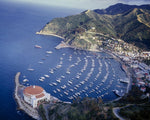 Catalina Island 1980s Print