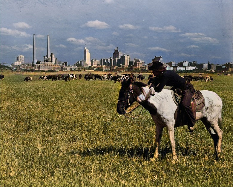 Cowboy with the Dallas Skyline 1945 Color Print