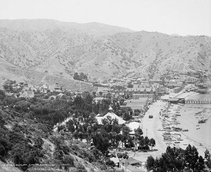 Avalon, Santa Catalina Island 1903 Print
