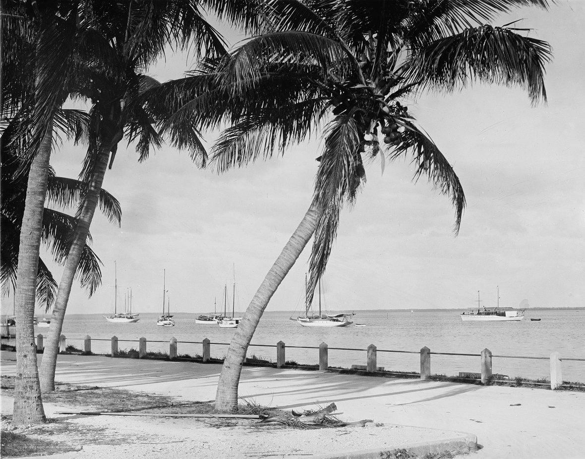 Biscayne Bay 1912 Print