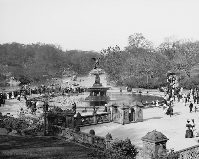 Central Park 1905 Print