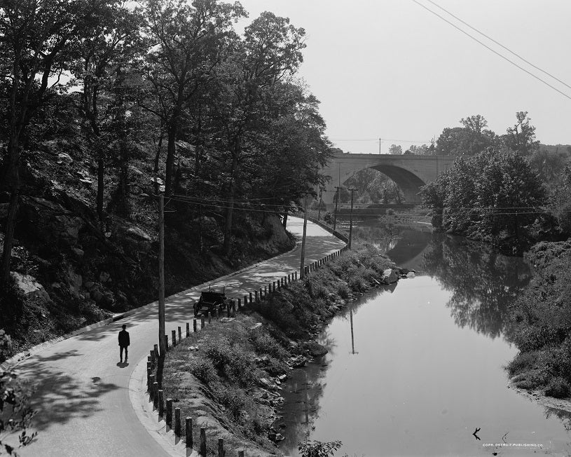 Ellicott Driveway 1910s Print