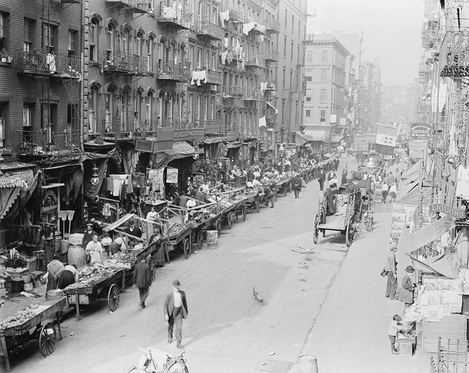 Little Italy - Mulberry Street 1905 Print – Shop City Merch