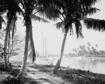 Miami River 1905 Print