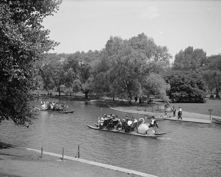 Swan Boats at Boston Public Garden 1903 Print