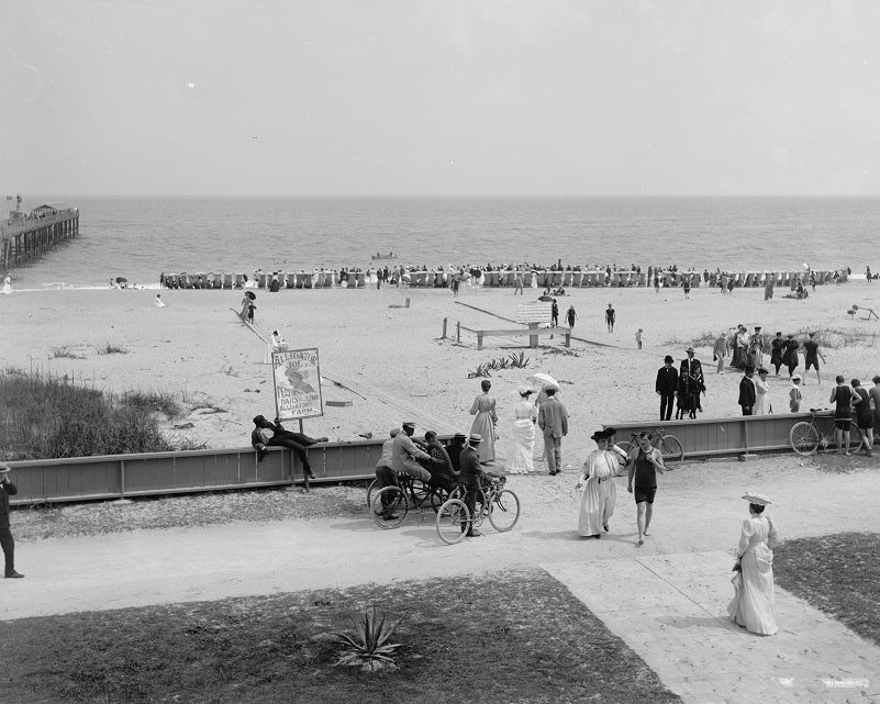 The Beach at Palm Beach 1905 Print